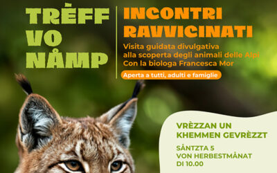 Incontri ravvicinati – Prede e predatori 