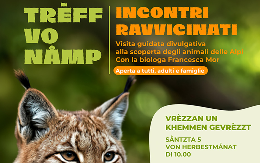 Incontri ravvicinati – Prede e predatori 
