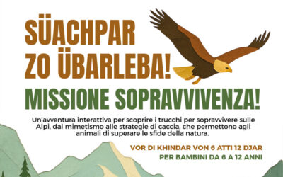 Missione sopravvivenza!  – Laboratorio