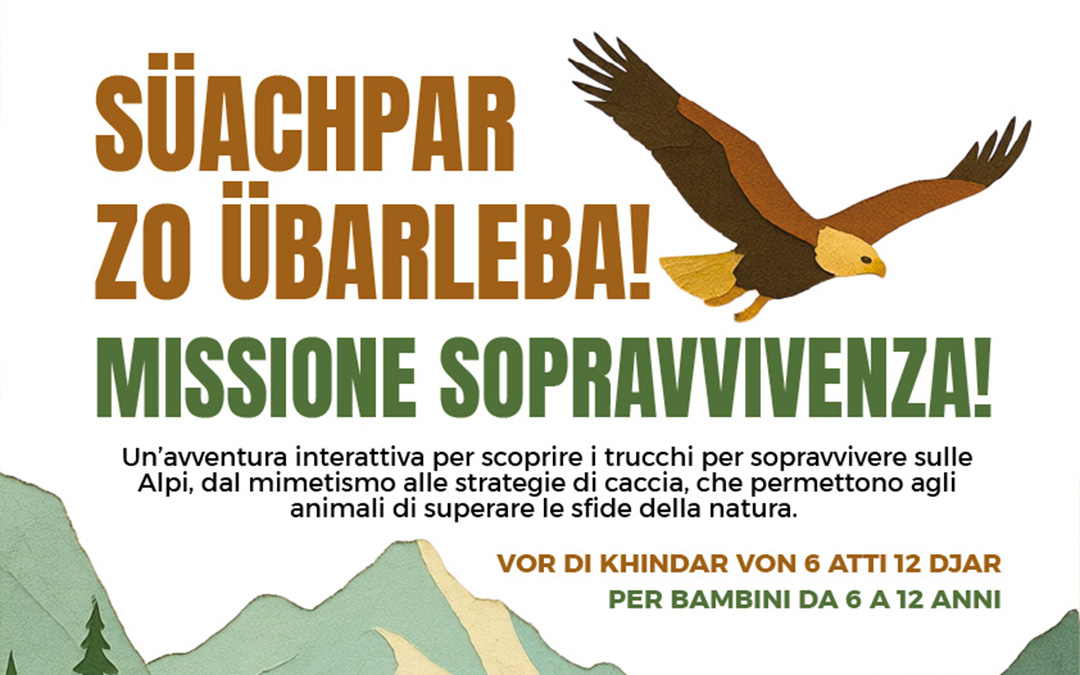 Missione sopravvivenza!  – Laboratorio